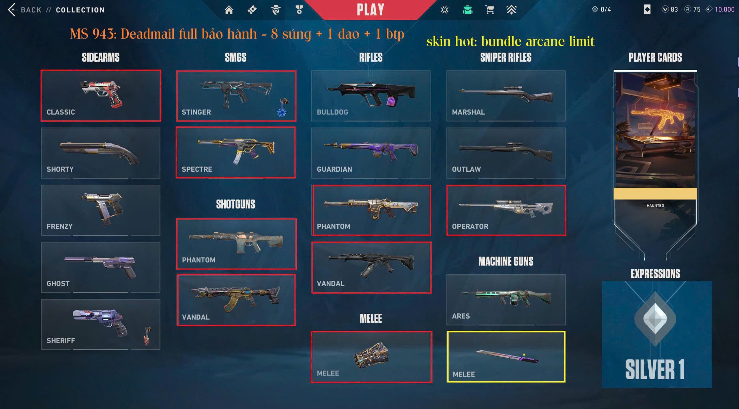 #882 Mua Acc Valorant Drop Mail - 17 súng 6 dao - Vandal Araxys, dao VCT 25, vandal prime